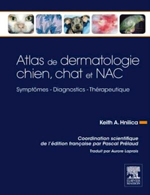 Atlas de dermatologie chien, chat et NAC