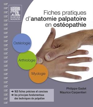 Fiches pratiques d''anatomie palpatoire en ostéopathie