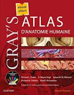 Gray''s Atlas d''anatomie humaine