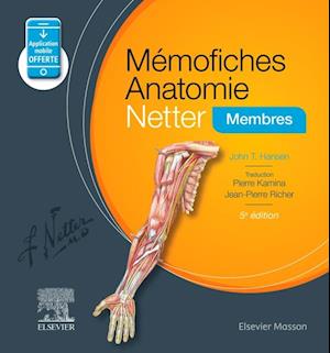 Mémofiches Anatomie Netter - Membres