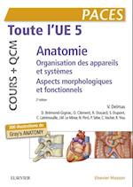 Toute l''UE 5 - Anatomie - Cours + QCM