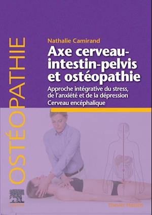 Axe cerveau-intestin-pelvis et ostéopathie