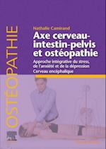 Axe cerveau-intestin-pelvis et ostéopathie