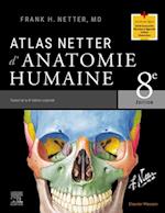 Atlas Netter d''anatomie humaine