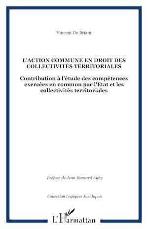 L'action commune en droit des collectivités territoriales