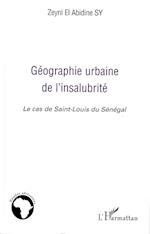 Géographie urbaine de l'insalubrité