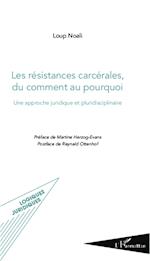 Les résistances carcérales, du comment au pourquoi