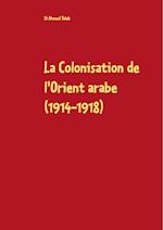 La Colonisation de L'Orient Arabe (1914-1918)