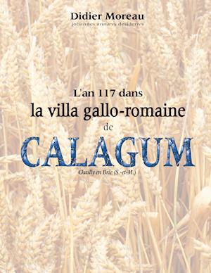 L'An 117 Dans La Villa Gallo-Romaine de Calagum