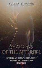 Shadows of the Afterlife