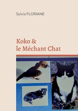 Koko et le méchant chat