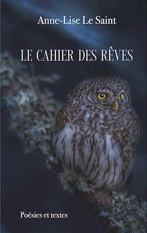 Le cahier des rêves