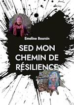 SED mon chemin de résilience