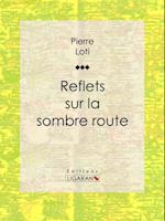 Reflets sur la sombre route