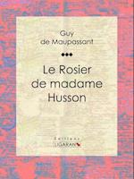 Le Rosier de madame Husson