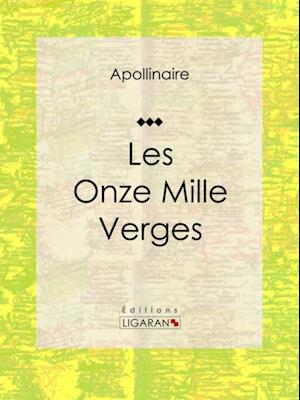 Les Onze Mille Verges