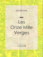 Les Onze Mille Verges