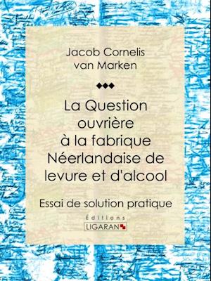 La Question ouvrière à la fabrique néerlandaise de levure et d''alcool