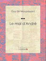 Le mal d''André