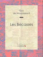 Les Bécasses