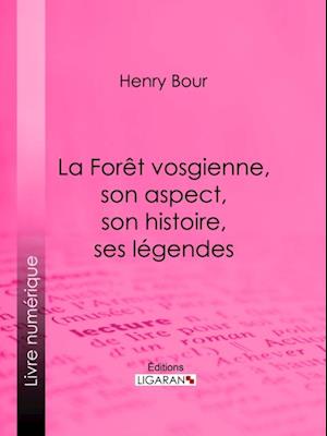 La Forêt vosgienne, son aspect, son histoire, ses légendes