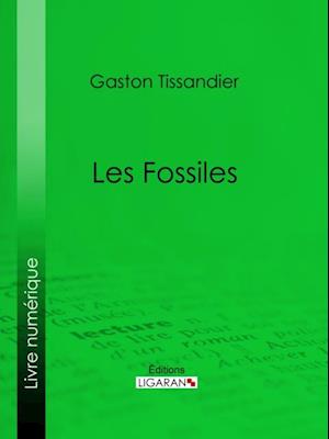 Les Fossiles