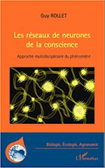 Les réseaux de neurones de la conscience