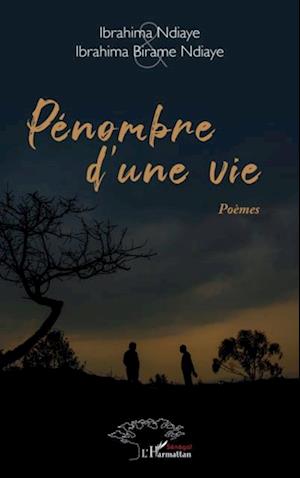 Pénombre d’une vie