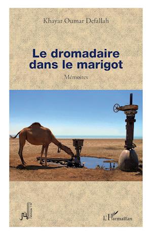 Le dromadaire dans le marigot