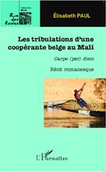 Les tribulations d'une coopérante belge au Mali