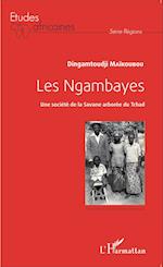 Les Ngambayes