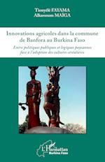 Innovations agricoles dans la commune de Banfora au Burkina Faso