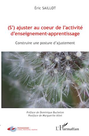 (S')ajuster au coeur de l'activité d'enseignement-apprentissage