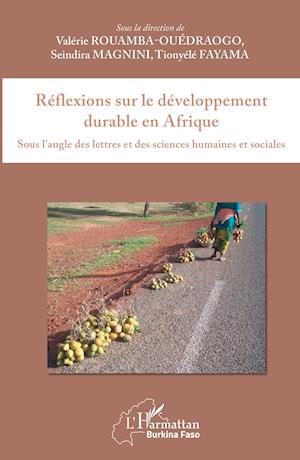 Réflexions sur le développement durable en Afrique