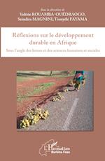 Réflexions sur le développement durable en Afrique