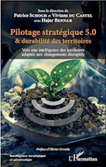 Pilotage stratégique 5.0 et durabilité des territoires