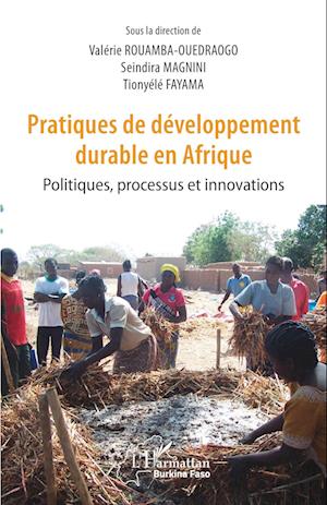 Pratiques de développement durable en Afrique