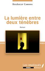 La lumière entre deux ténèbres. Roman