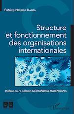 Structure et fonctionnement des organisations internationales