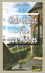 Clair-obscur à l''Île-aux-Moines