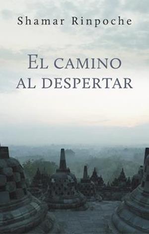 El Camino Al Despertar