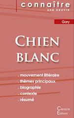 Fiche de lecture Chien blanc de Romain Gary (Analyse littéraire de référence et résumé complet)