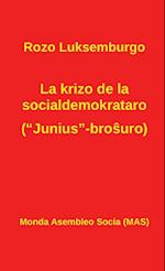 La Krizo de la Socialdemokrataro ("junius"-Bro&#349;uro)