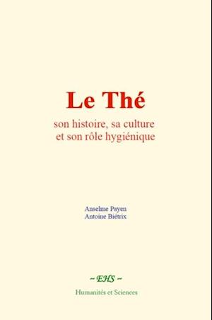 Le Thé : son histoire, sa culture et son rôle hygiénique