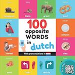 100 opposite words in dutch