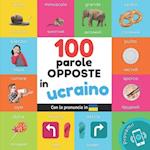 100 parole opposte in Ucraino