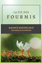 La vie des Fourmis