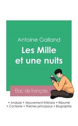 Réussir son Bac de français 2023 : Analyse des Mille et une nuits de Antoine Galland