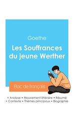 Réussir son Bac de français 2024 : Analyse des Souffrances du jeune Werther de Goethe