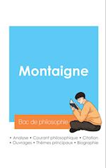 Réussir son Bac de philosophie 2024 : Analyse du philosophe Montaigne